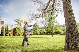 Best Hedge Trimming  in Wakefield, MI